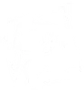 PIV Records